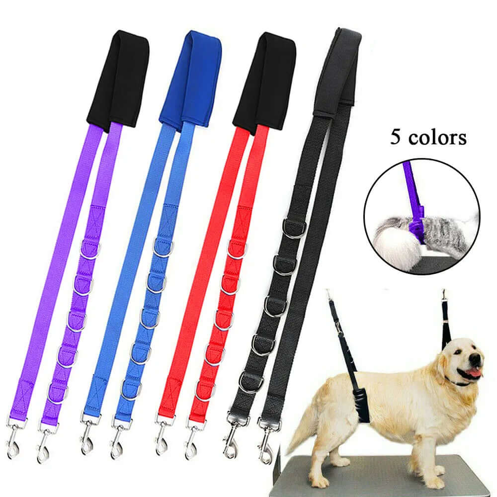 Portable Pet Traction Belt Adjustable Dog D-Rings Harness