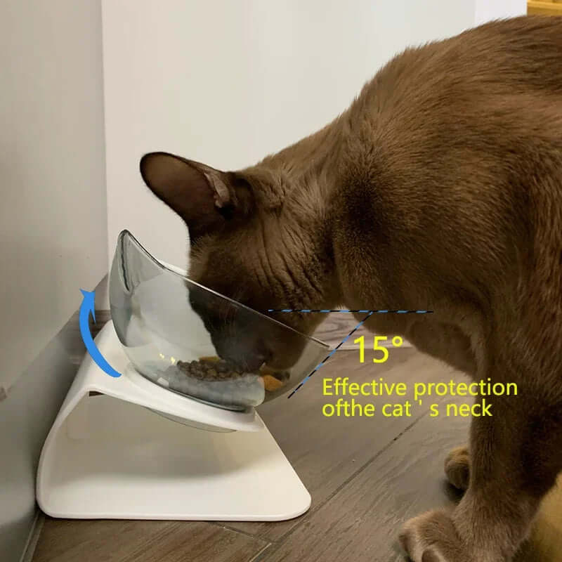 Non-Slip Double Cat & Dog Bowl with Stand