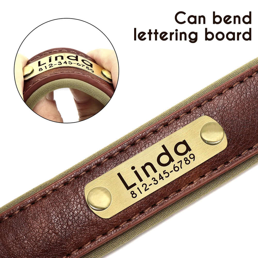 Customized Leather ID Nameplate Dog Collar - Soft Padded & Adjustable