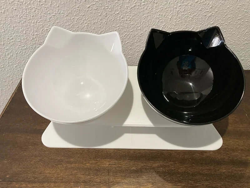 Non-Slip Double Cat & Dog Bowl with Stand