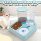 Cat Feeder & Water Dispenser Set