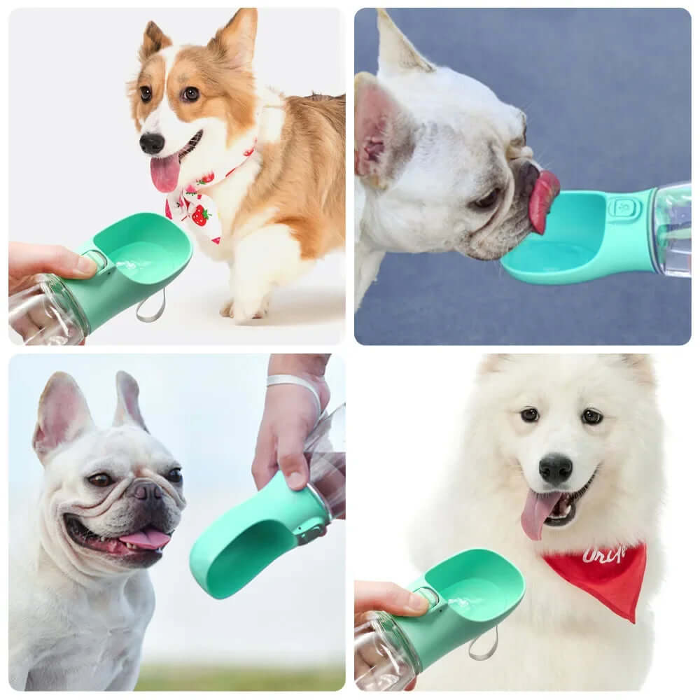 Portable Dog Water Bottle & Food Container