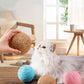 Interactive Sisal Cat Scratching Ball Toy