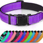 Reflective Soft Neoprene Padded  Dog Collar