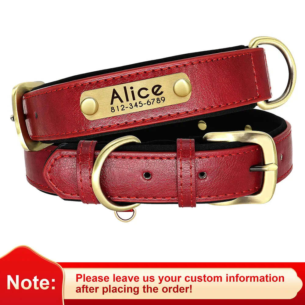 Customized Leather ID Nameplate Dog Collar - Soft Padded & Adjustable