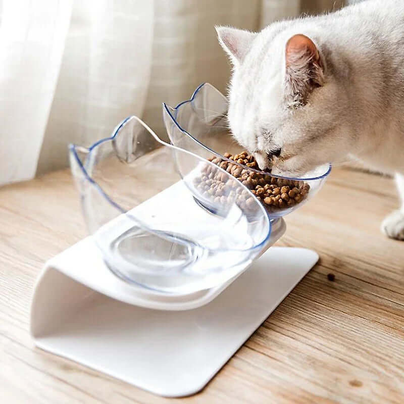 Non-Slip Double Cat & Dog Bowl with Stand